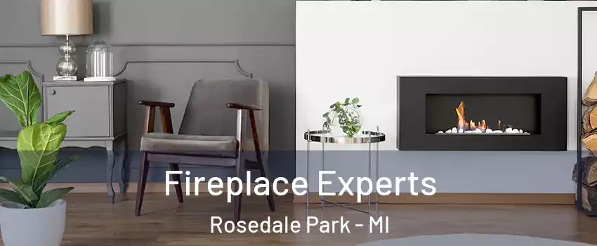 Fireplace Experts Rosedale Park - MI