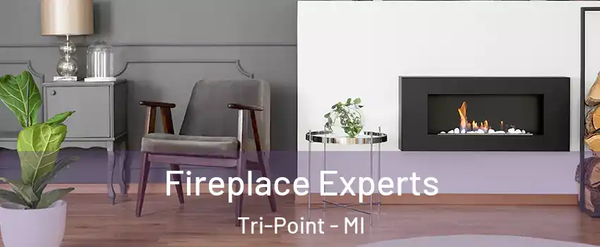 Fireplace Experts Tri-Point - MI