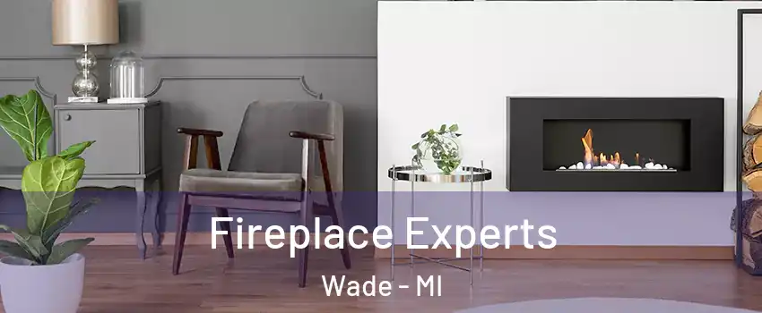 Fireplace Experts Wade - MI