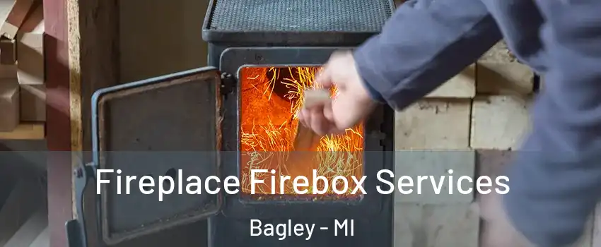 Fireplace Firebox Services Bagley - MI