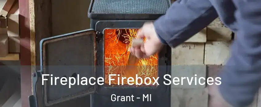 Fireplace Firebox Services Grant - MI