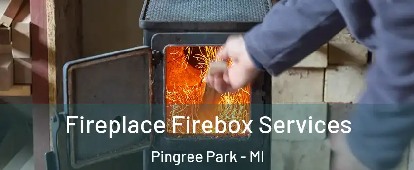 Fireplace Firebox Services Pingree Park - MI