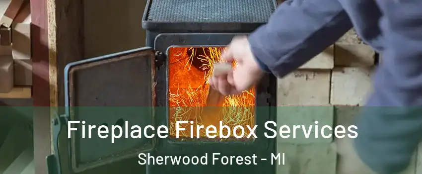 Fireplace Firebox Services Sherwood Forest - MI