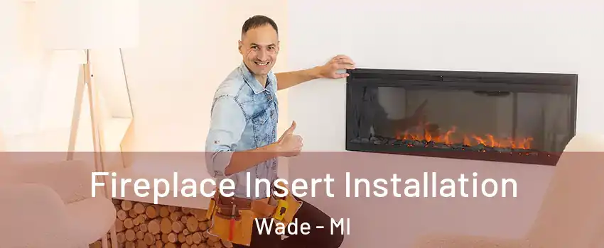 Fireplace Insert Installation Wade - MI