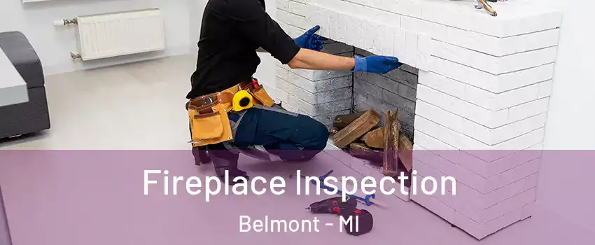 Fireplace Inspection Belmont - MI