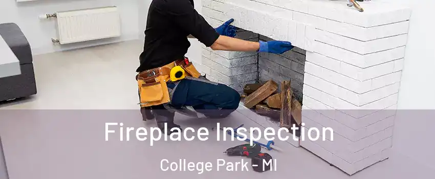 Fireplace Inspection College Park - MI