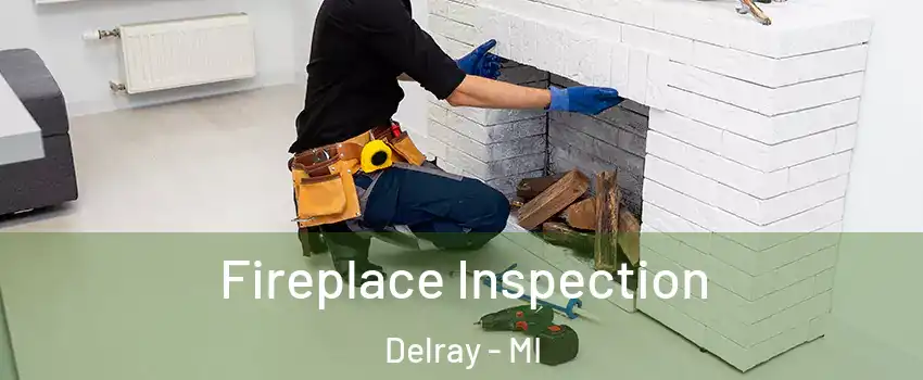 Fireplace Inspection Delray - MI