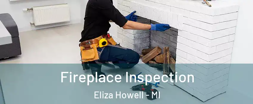 Fireplace Inspection Eliza Howell - MI