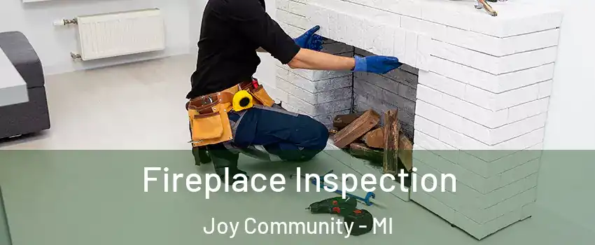 Fireplace Inspection Joy Community - MI