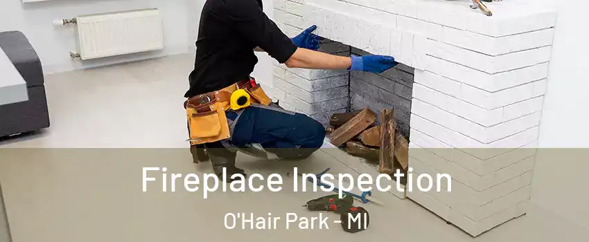 Fireplace Inspection O'Hair Park - MI