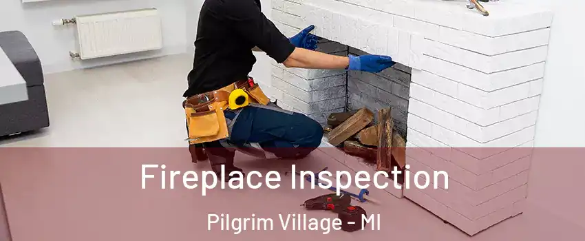 Fireplace Inspection Pilgrim Village - MI