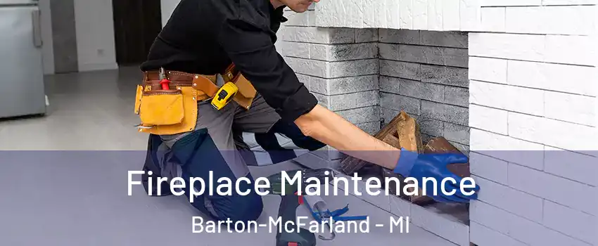 Fireplace Maintenance Barton-McFarland - MI