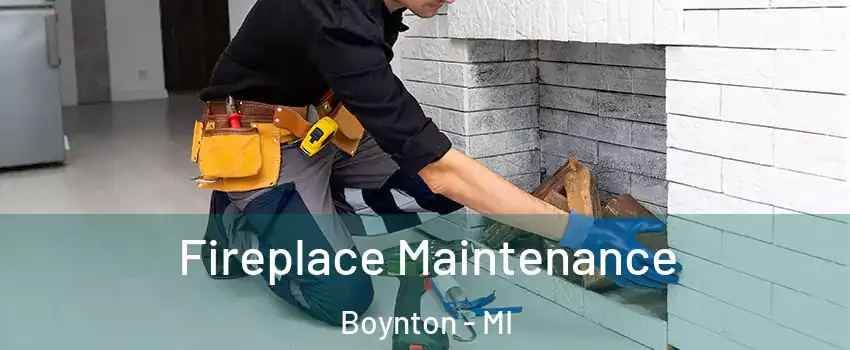 Fireplace Maintenance Boynton - MI