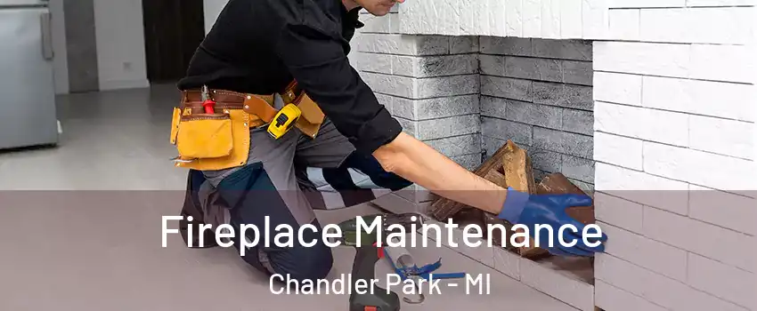 Fireplace Maintenance Chandler Park - MI