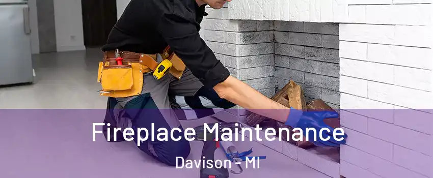 Fireplace Maintenance Davison - MI