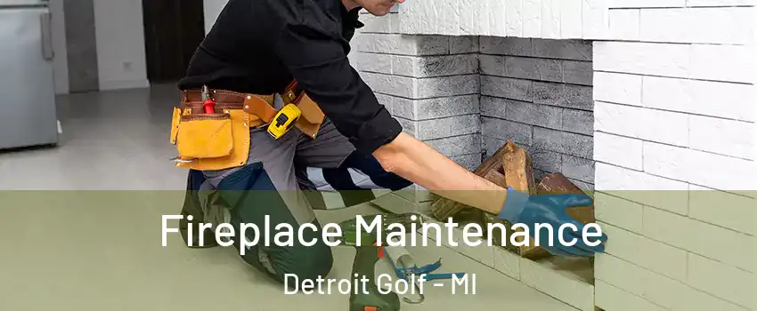 Fireplace Maintenance Detroit Golf - MI