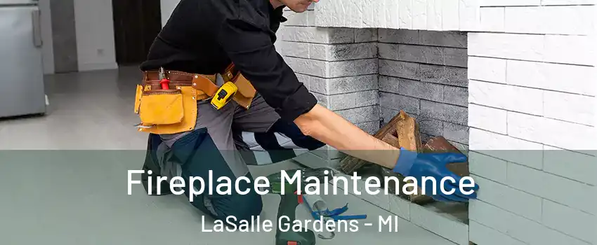 Fireplace Maintenance LaSalle Gardens - MI