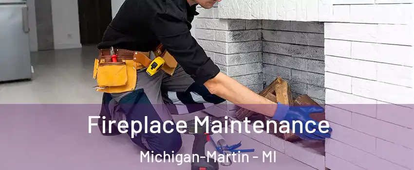 Fireplace Maintenance Michigan-Martin - MI