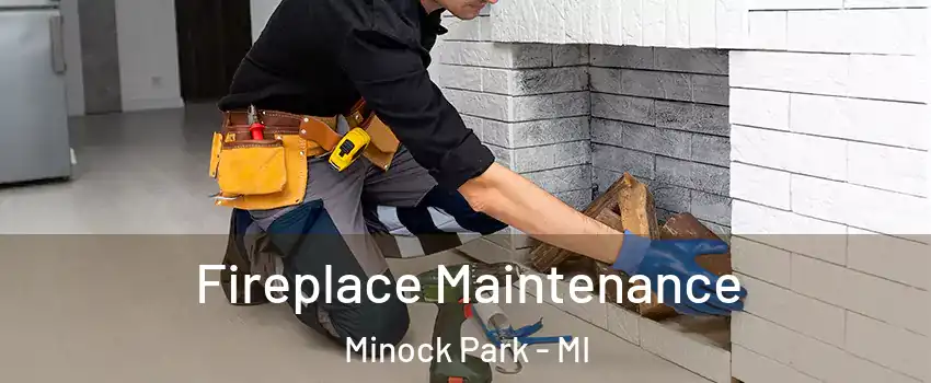 Fireplace Maintenance Minock Park - MI