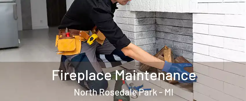 Fireplace Maintenance North Rosedale Park - MI