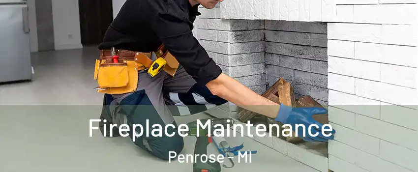 Fireplace Maintenance Penrose - MI