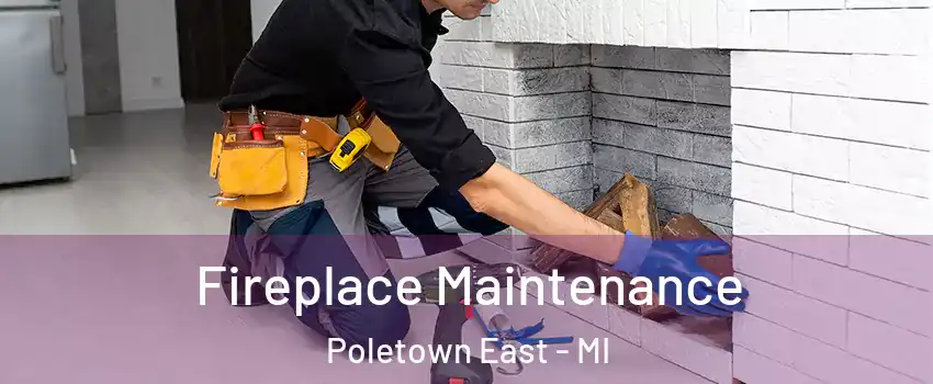 Fireplace Maintenance Poletown East - MI