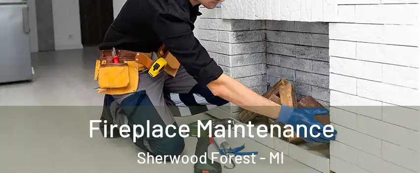 Fireplace Maintenance Sherwood Forest - MI