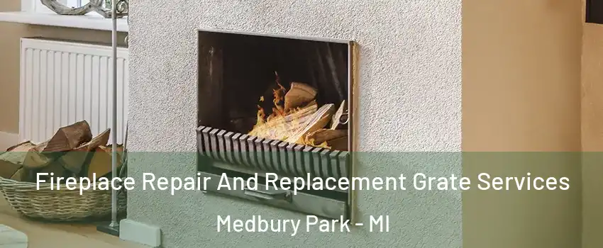 Fireplace Repair And Replacement Grate Services Medbury Park - MI