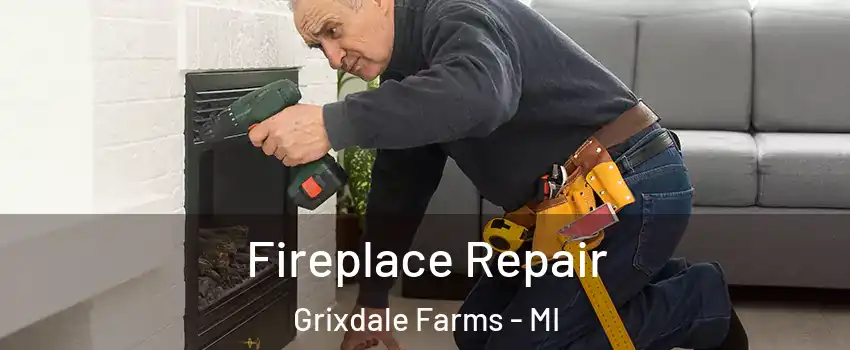 Fireplace Repair Grixdale Farms - MI