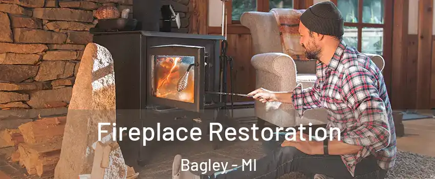 Fireplace Restoration Bagley - MI