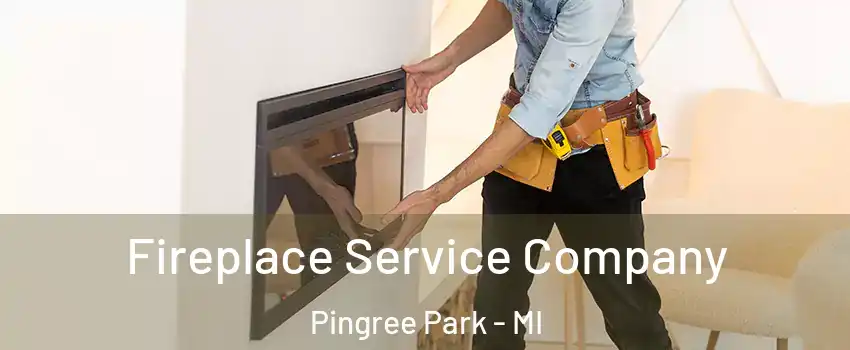 Fireplace Service Company Pingree Park - MI