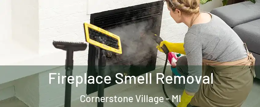 Fireplace Smell Removal Cornerstone Village - MI