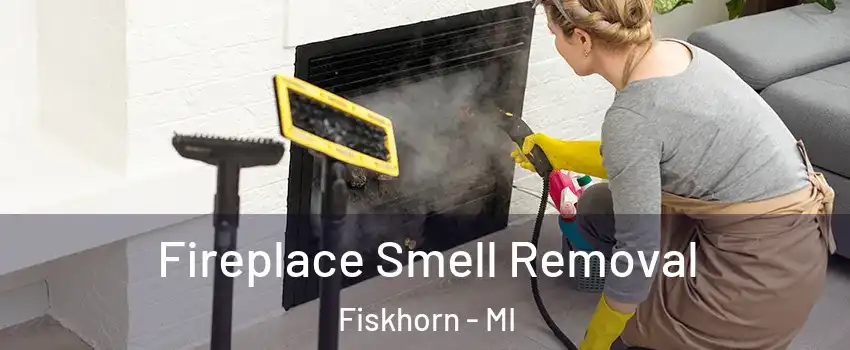 Fireplace Smell Removal Fiskhorn - MI