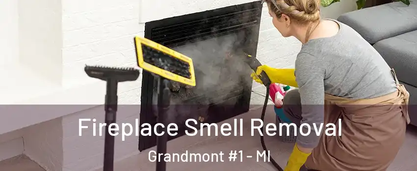 Fireplace Smell Removal Grandmont #1 - MI