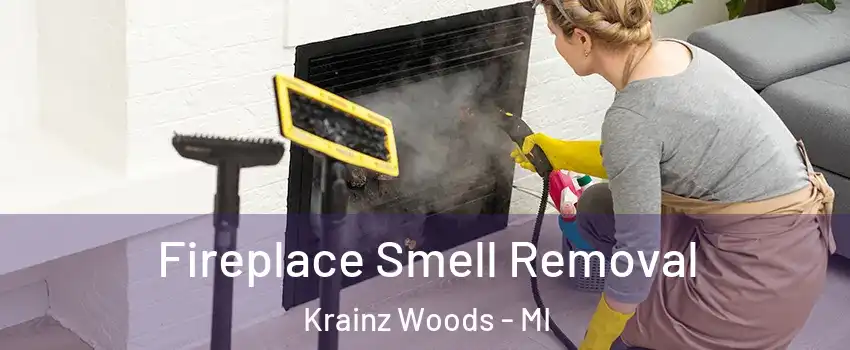 Fireplace Smell Removal Krainz Woods - MI