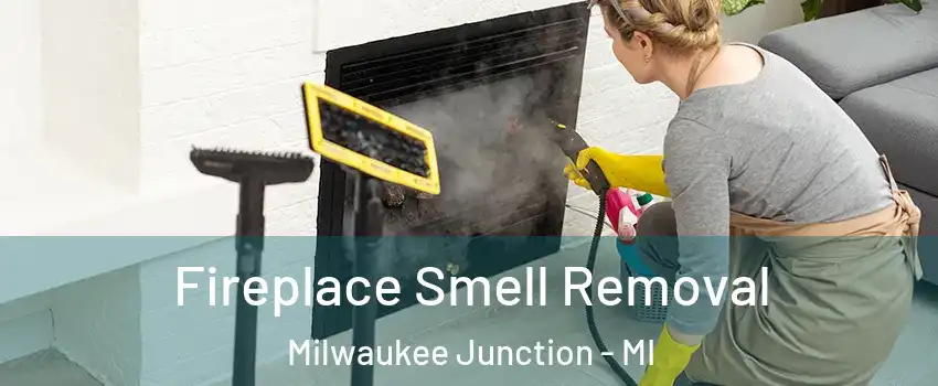 Fireplace Smell Removal Milwaukee Junction - MI