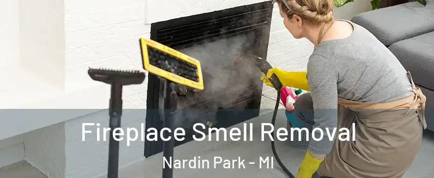 Fireplace Smell Removal Nardin Park - MI