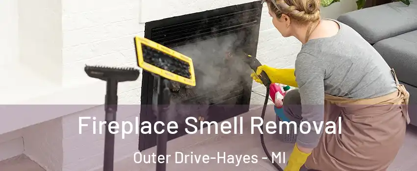 Fireplace Smell Removal Outer Drive-Hayes - MI