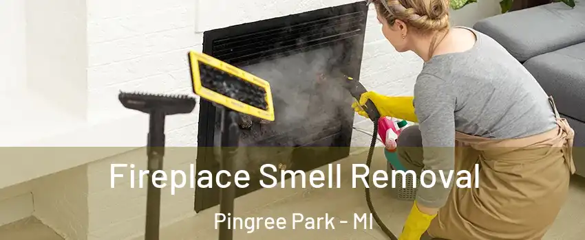 Fireplace Smell Removal Pingree Park - MI