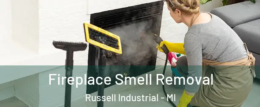 Fireplace Smell Removal Russell Industrial - MI