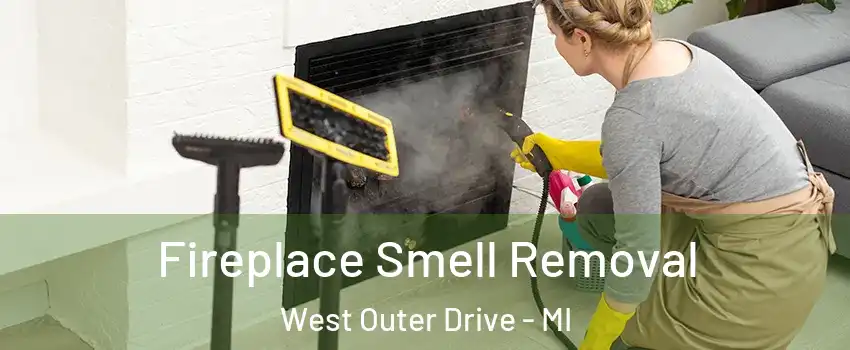 Fireplace Smell Removal West Outer Drive - MI