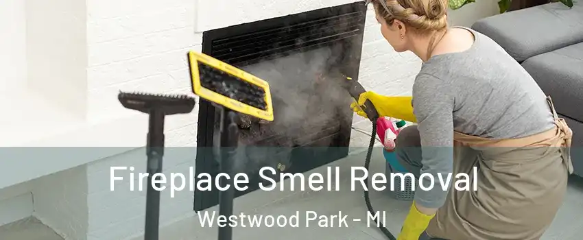 Fireplace Smell Removal Westwood Park - MI