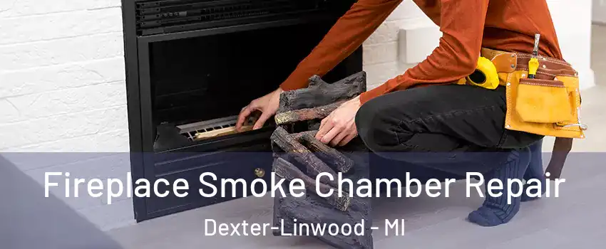 Fireplace Smoke Chamber Repair Dexter-Linwood - MI