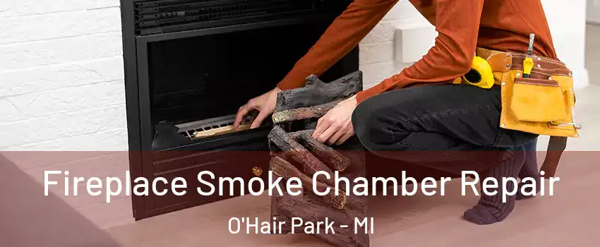 Fireplace Smoke Chamber Repair O'Hair Park - MI