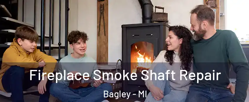 Fireplace Smoke Shaft Repair Bagley - MI