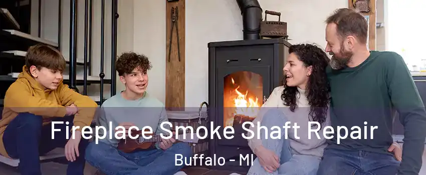 Fireplace Smoke Shaft Repair Buffalo - MI