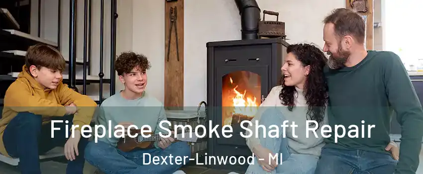 Fireplace Smoke Shaft Repair Dexter-Linwood - MI