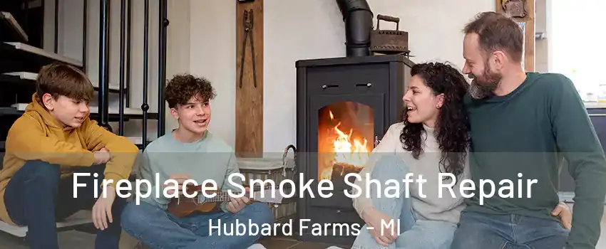 Fireplace Smoke Shaft Repair Hubbard Farms - MI