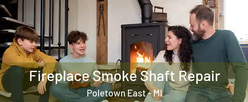 Fireplace Smoke Shaft Repair Poletown East - MI