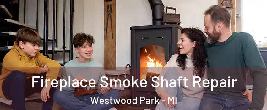 Fireplace Smoke Shaft Repair Westwood Park - MI